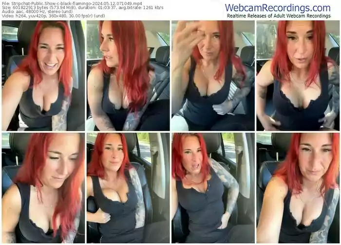 stripchat-black-flamingo-05-12-2024-07-10-49