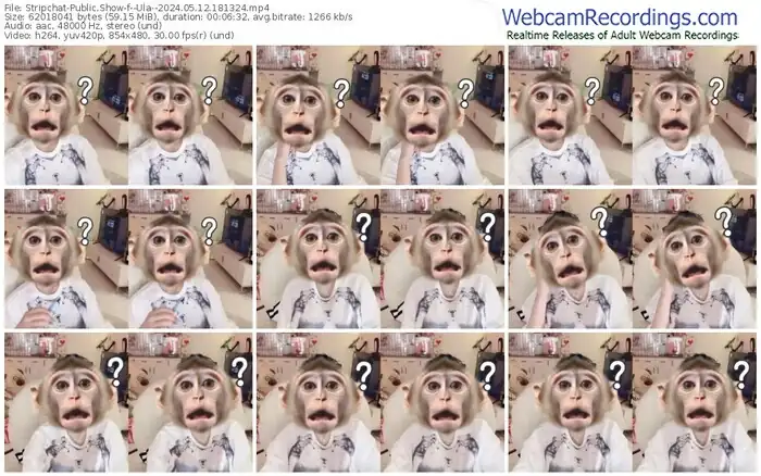 stripchat--ula--05-12-2024-18-13-24