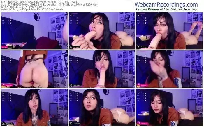 stripchat-aryrouse-05-12-2024-01-03-26