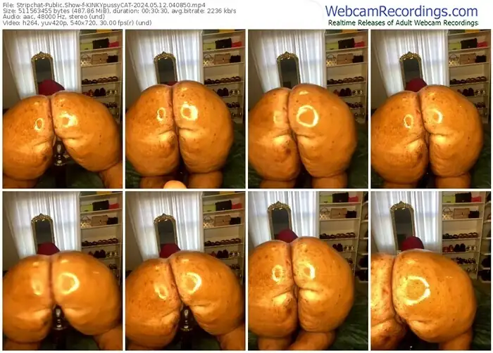 stripchat-kinkypussycat-05-12-2024-04-08-50