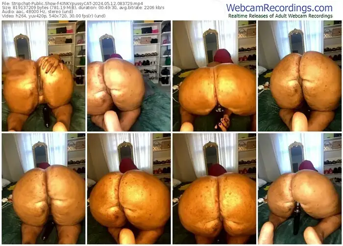 stripchat-kinkypussycat-05-12-2024-08-37-29