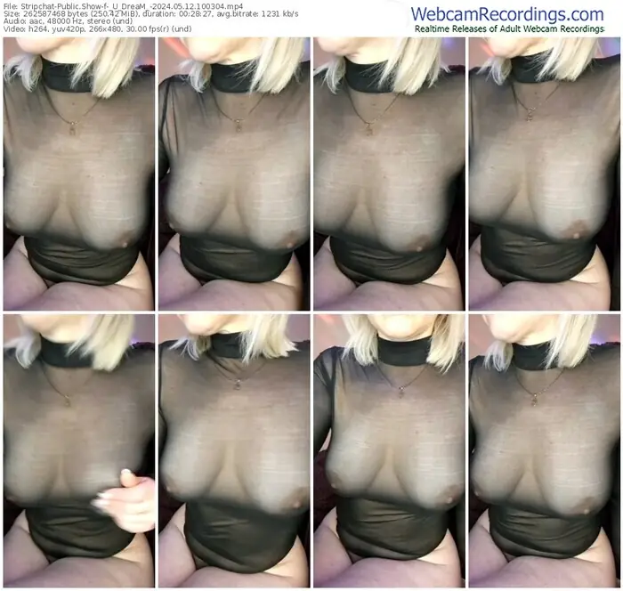 stripchat-_u_dream_-05-12-2024-10-03-04