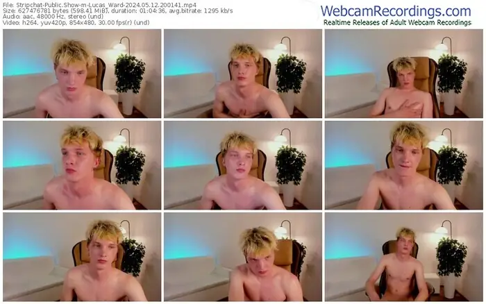 stripchat-lucas_ward-05-12-2024-20-01-41