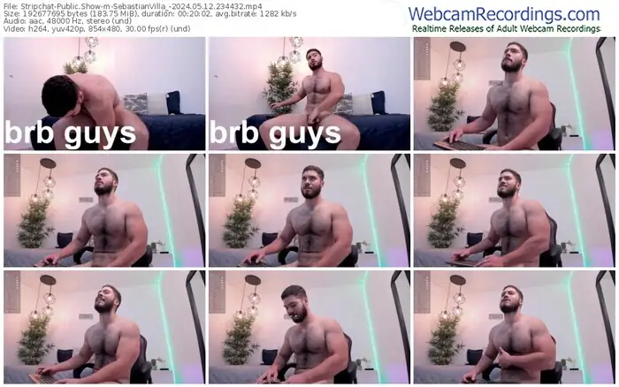 stripchat-sebastianvilla_-05-12-2024-23-44-32