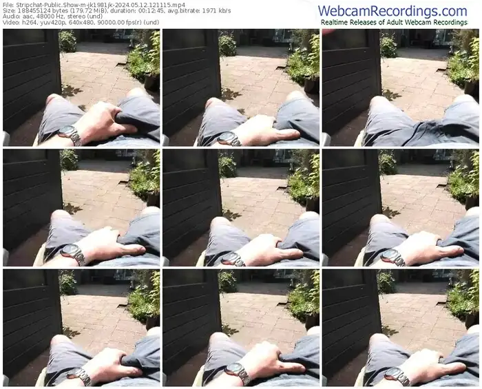 stripchat-jk1981jk-05-12-2024-12-11-15
