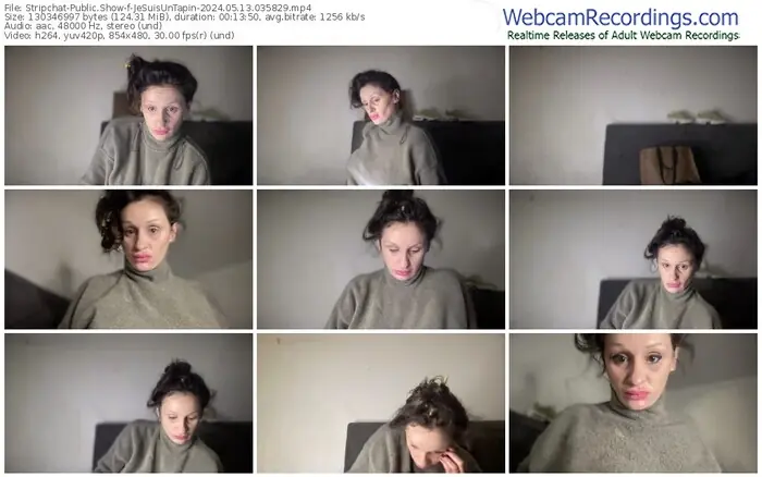 stripchat-jesuisuntapin-05-13-2024-03-58-29