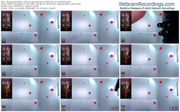 stripchat-anyarosses-05-13-2024-12-06-36