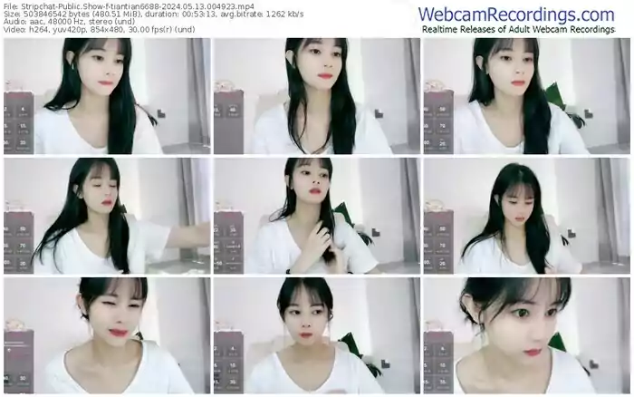 stripchat-tiantian6688-05-13-2024-00-49-23