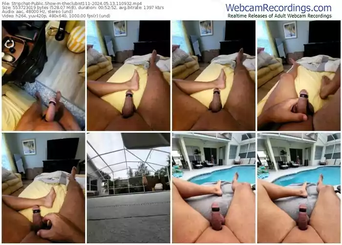 stripchat-theclubist111-05-13-2024-11-09-32