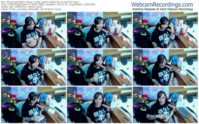 stripchat-kitty_kat15-05-14-2024-01-03-07
