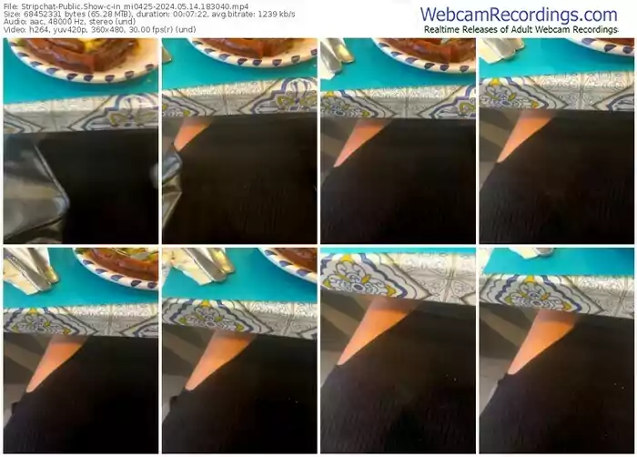 stripchat-in_mi0425-05-14-2024-18-30-40