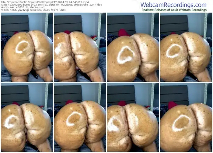 stripchat-kinkypussycat-05-14-2024-04-51-19