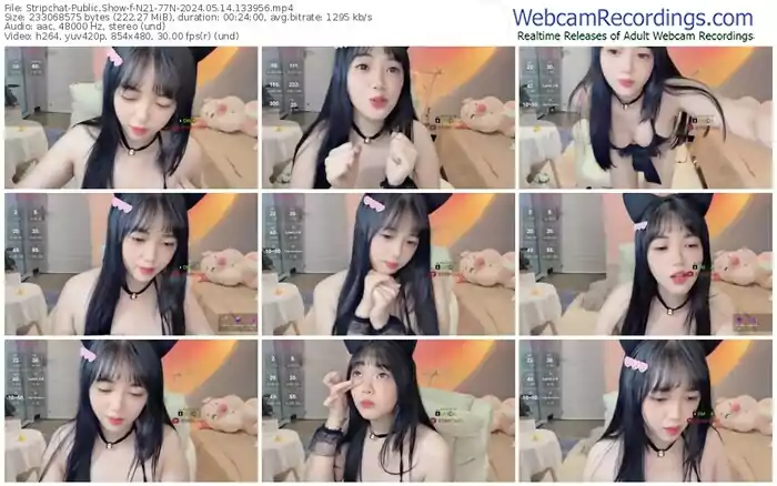 stripchat-n21-77n-05-14-2024-13-39-56