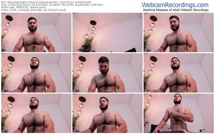 stripchat-sebastianvilla_-05-14-2024-02-00-29