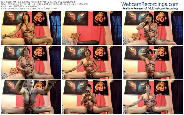 stripchat-missdirtyhot_-05-14-2024-22-52-11