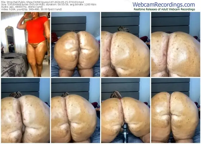 stripchat-kinkypussycat-05-15-2024-07-01-03