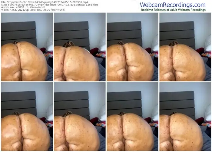 stripchat-kinkypussycat-05-15-2024-08-59-00