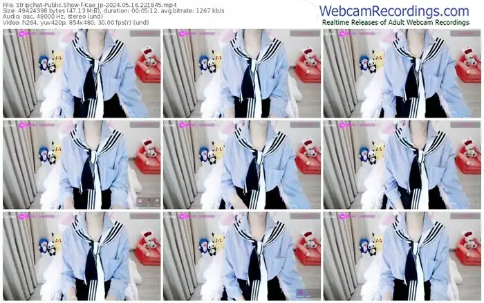 stripchat-kae_jp-05-16-2024-22-18-45