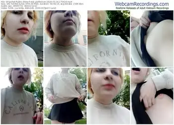 stripchat-real_perfection-05-16-2024-17-04-24