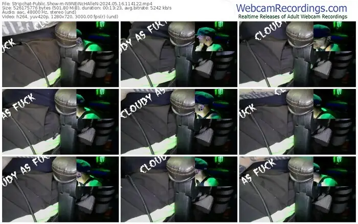 stripchat-n9neinchallen-05-16-2024-11-41-22