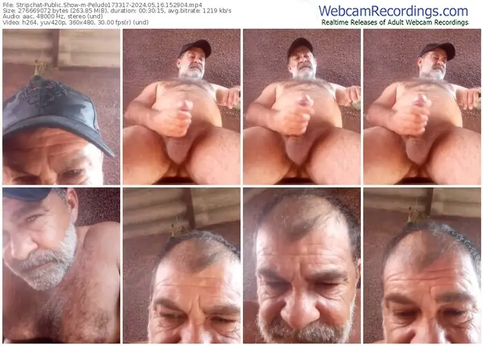 stripchat-peludo173317-05-16-2024-15-29-04