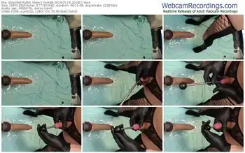 stripchat-ylvis88-05-16-2024-20-39-17