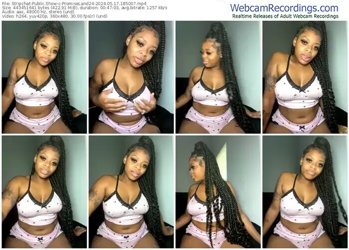 stripchat-promiseland24-05-17-2024-18-50-07