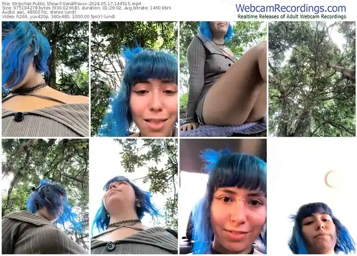 stripchat-gerallfoxxx-05-17-2024-14-45-15