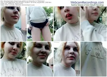 stripchat-real_perfection-05-17-2024-17-38-23