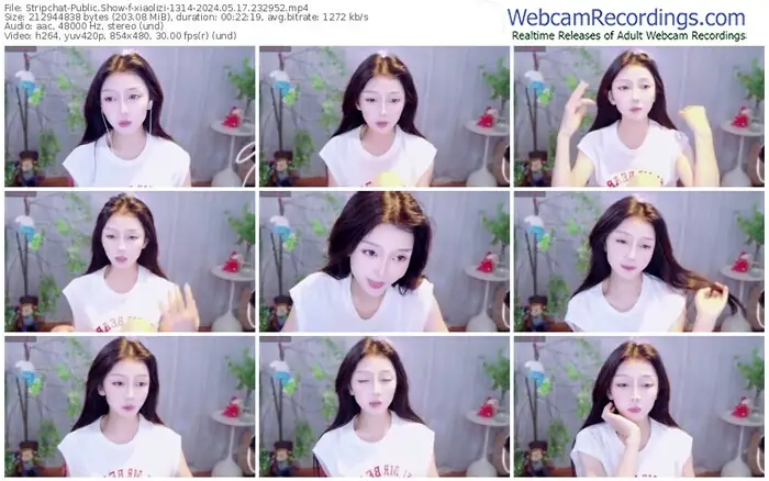 stripchat-xiaolizi-05-17-2024-23-29-52