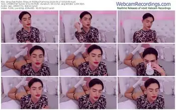 stripchat-robbycharming-05-17-2024-00-19-39