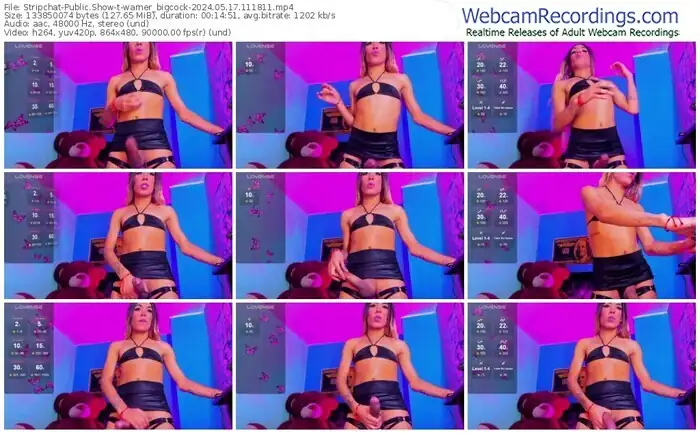 stripchat-warner_bigcock-05-17-2024-11-18-11