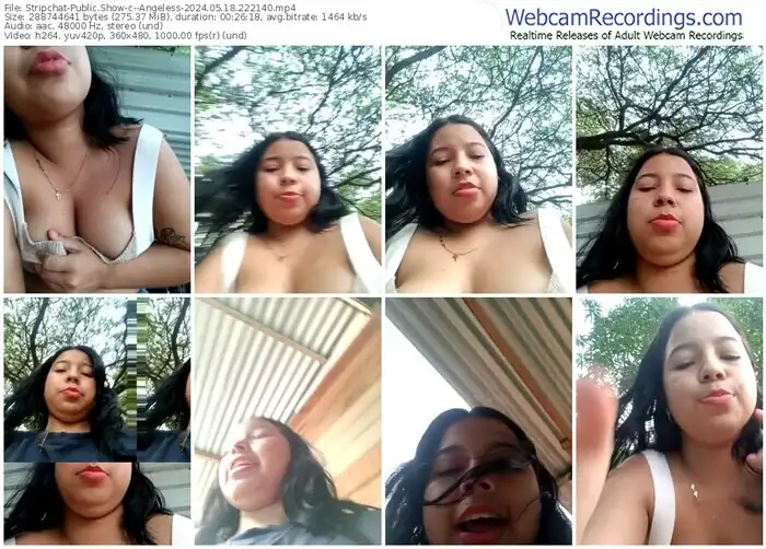 stripchat--angeless-05-18-2024-22-21-40