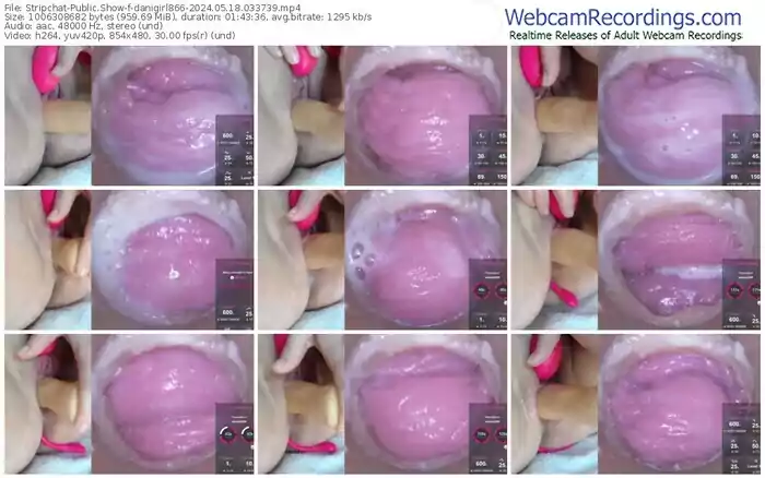 stripchat-danigirl866-05-18-2024-03-37-39