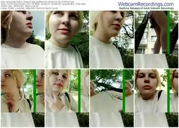 stripchat-real_perfection-05-18-2024-13-43-50