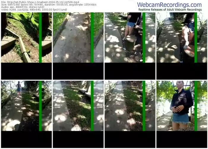 stripchat-snaibest-05-19-2024-14-25-09