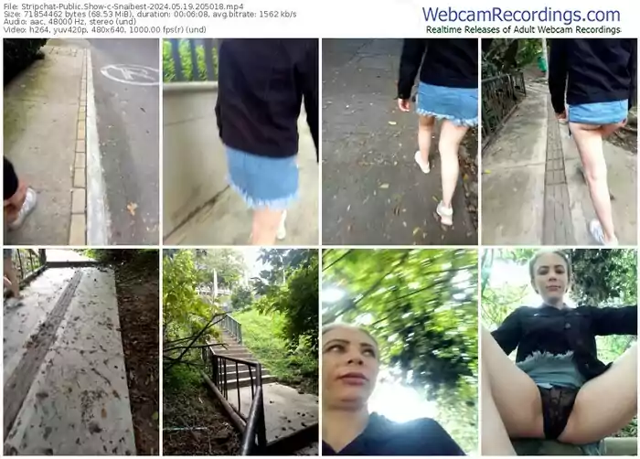 stripchat-snaibest-05-19-2024-20-50-18