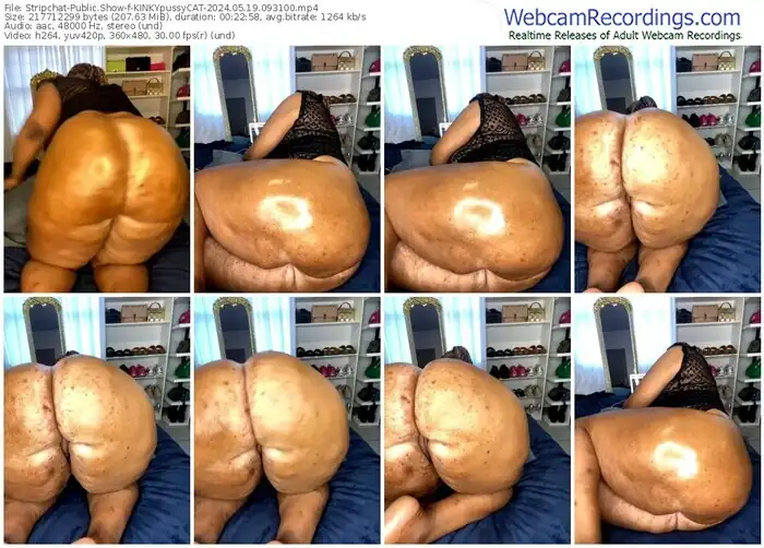 stripchat-kinkypussycat-05-19-2024-09-31-00