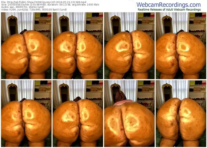 stripchat-kinkypussycat-05-19-2024-13-13-48