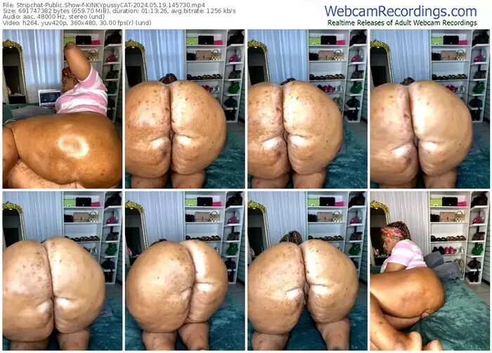 stripchat-kinkypussycat-05-19-2024-14-57-30
