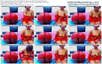 stripchat-wildseductionxx25-05-19-2024-09-03-44