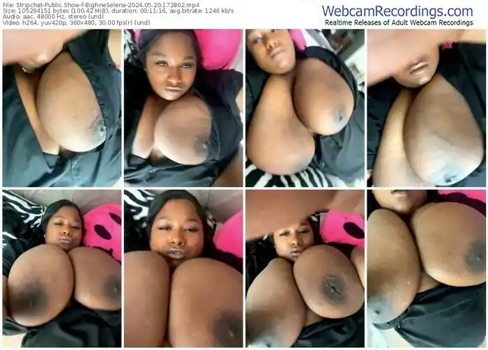 stripchat-bigfineselena-05-20-2024-17-28-02