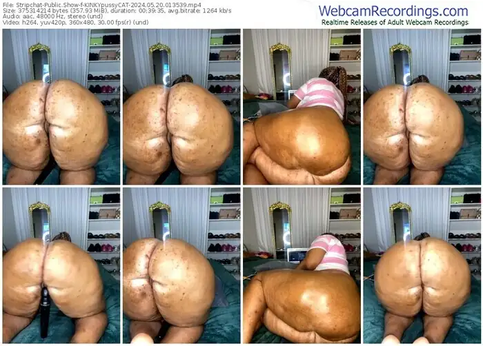 stripchat-kinkypussycat-05-20-2024-01-35-39