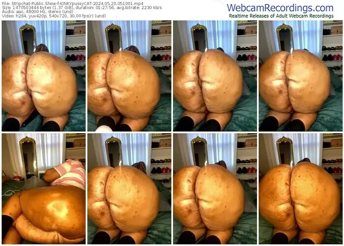 stripchat-kinkypussycat-05-20-2024-05-10-01