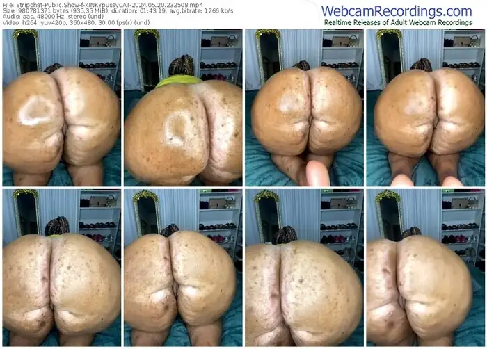stripchat-kinkypussycat-05-20-2024-23-25-08