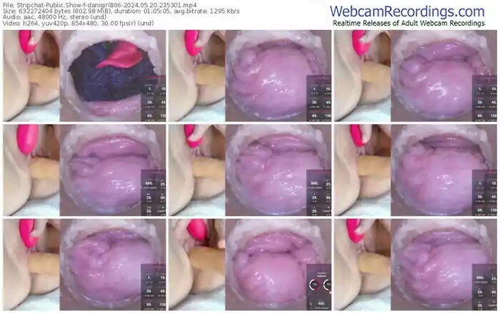 stripchat-danigirl866-05-20-2024-23-53-01
