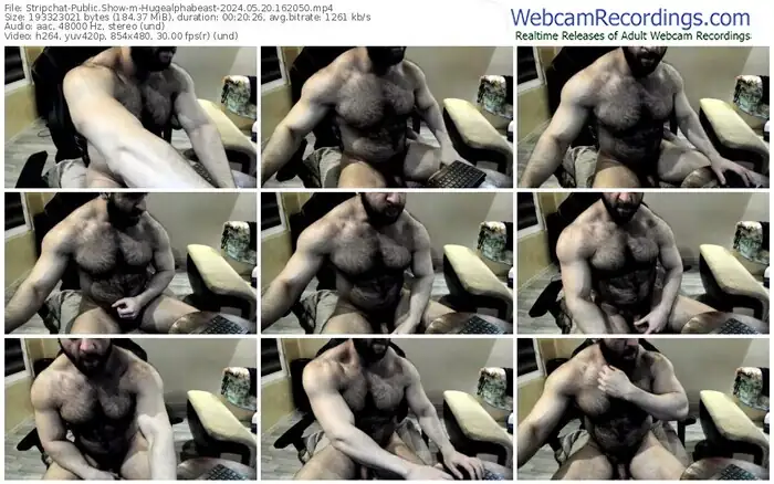 stripchat-hugealphabeast-05-20-2024-16-20-50