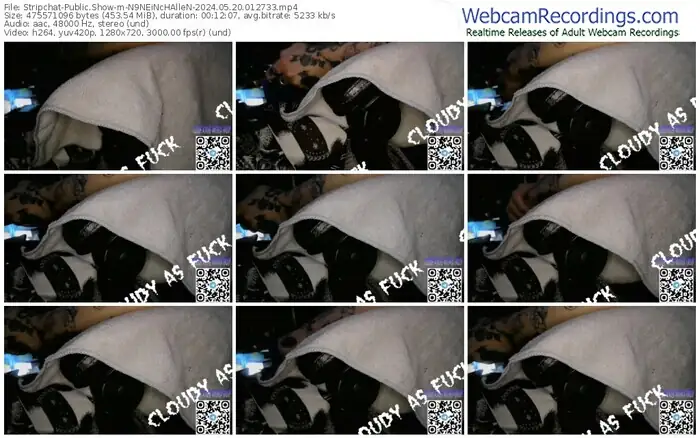 stripchat-n9neinchallen-05-20-2024-01-27-33