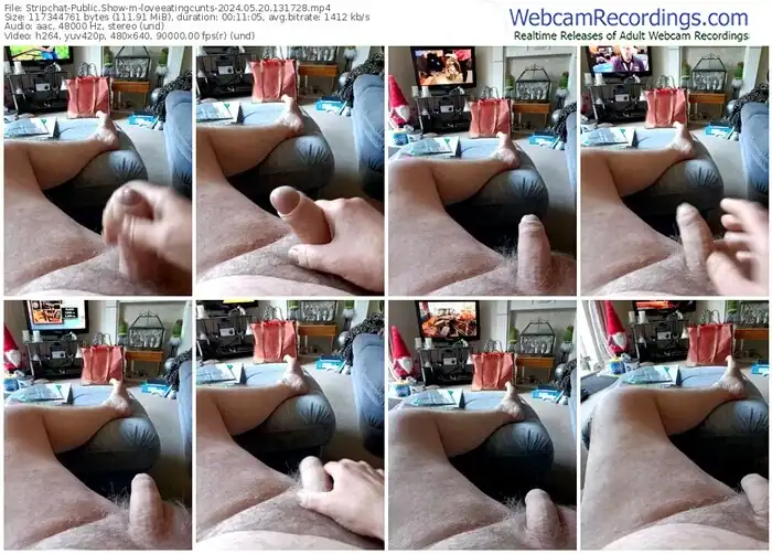 stripchat-loveeatingcunts-05-20-2024-13-17-28