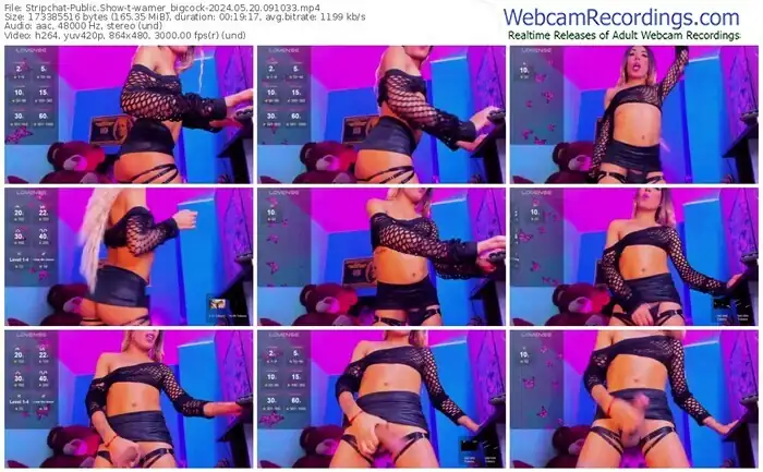 stripchat-warner_bigcock-05-20-2024-09-10-33